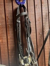 Horse Bridle Very Very Good