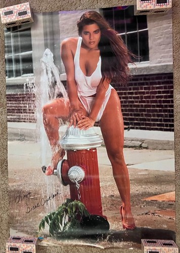Diane copeland 1990 fire - 1990,