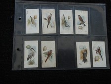 ONE PAGE CIGARETTE CARDS LAMBERT AND BUTLER BIRDS AND EGGS