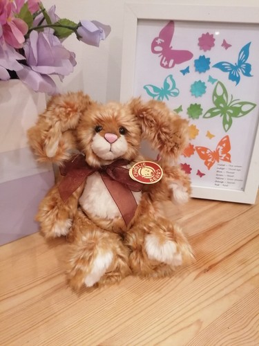 Charlie bears cotton sox - cotton,