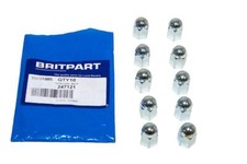 Rocker Cover Nuts (x10) - Land