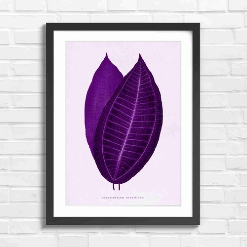 Vintage botanical leaf study - vintage,