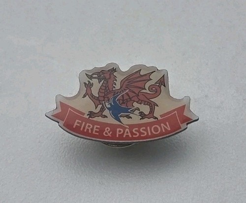 Cardiff city wales pin badge - wales,
