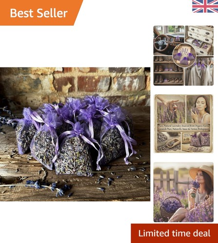 Fresh aromatic lavender - fresh,