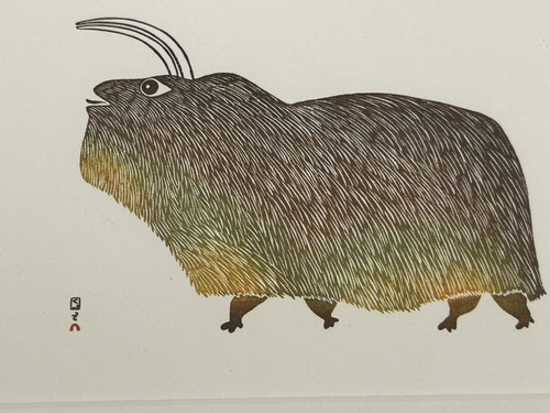 Umingmuk pudlo pudlat - ‘umingmuk’, by