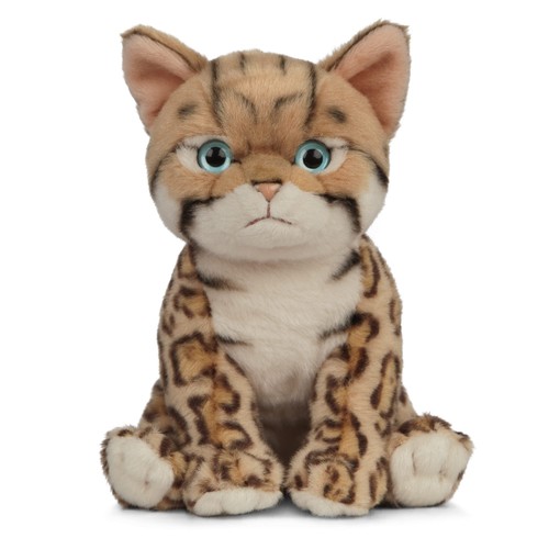 Living nature bengal - living, kitten