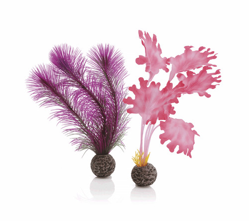 Oasis biorb seaweed set small - biorb,
