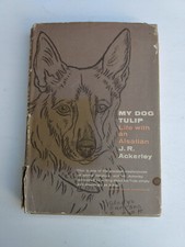 German Shepherd Dog Alsatian