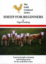 Sheep for Beginners (Gold