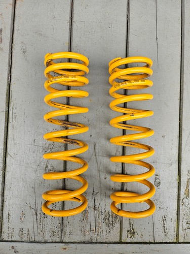 Ohlins rear twin shock - ohlins,