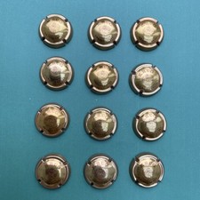 12  KRUG Champagne Capsules 
