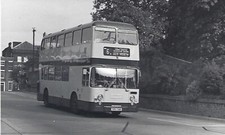Bus Photo: TPU74R Colchester