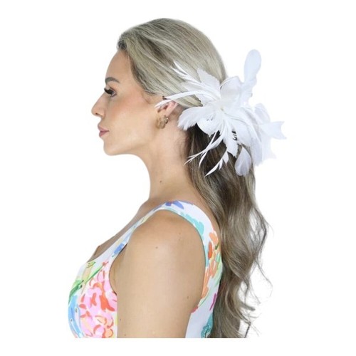Ladies feather fascinator - feather, hair