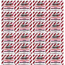 Fisherman's Friend Cherry Menthol Sugar Free Lozenges 25gm - 24 Packs