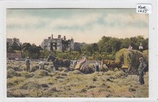 Kent RURAL LIFE  - Haymaking at Chilham Castle - Horse & Wagon people  etc