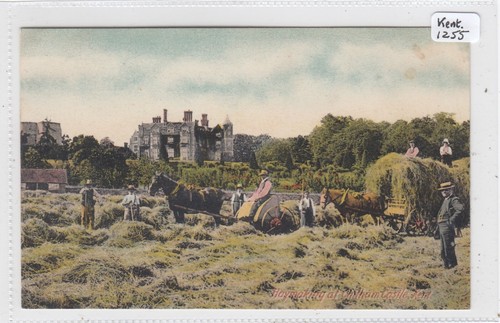 Kent rural life haymaking - life,