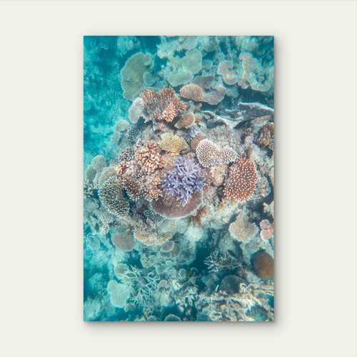 Great barrier reef - great,