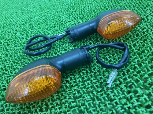 Rear turn signals - (left, and
