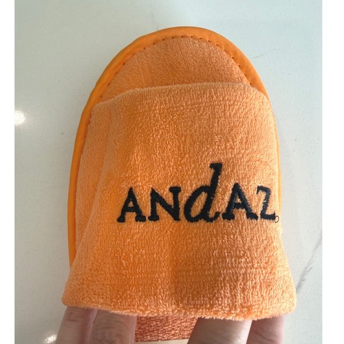 Nwt andaz london - nwt,