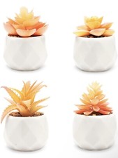 VIVERIE Mini 4Pc Orange Artificial Succulent Plants in White Ceramic Pots