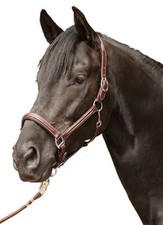 HKM Leather Head Collar