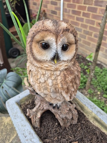 Realistic tawny owl garden - realistic,