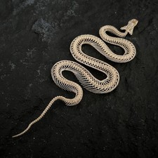 1 PC Real Animal Taxidermy