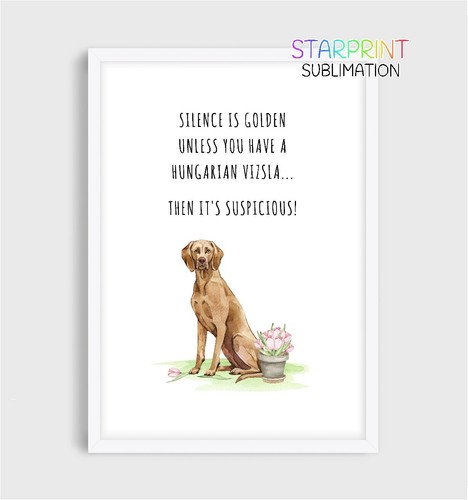 Hungarian vizsla - hungarian,