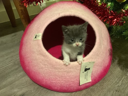 Pink cat bed - pink,