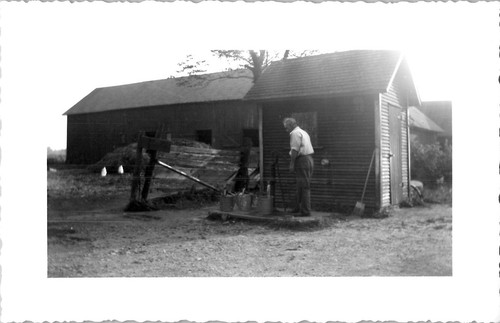 Elder gentleman farmer filling - gentleman,