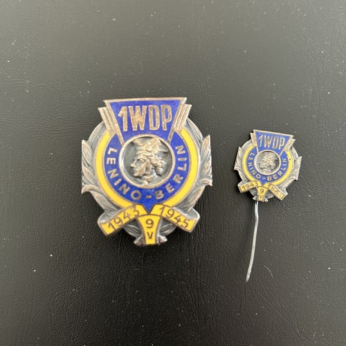 Polish badge 1wdp - polish,