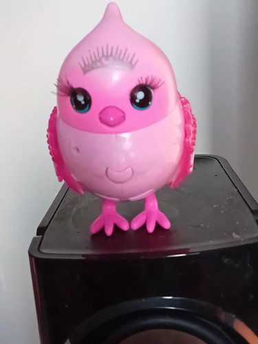 Little live pets lil bird - little,