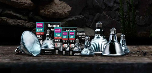 Arcadia halogen basking - arcadia,