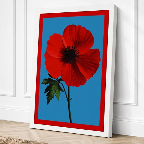 Bold red poppy - bold,