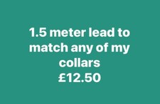 Dog lead 1.5 meter length  polypropylene webbing to match any of my collars