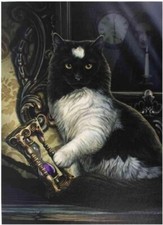 Large 70 x 50cm Lisa Parker