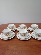 Aynsley Cottage Garden trios X
