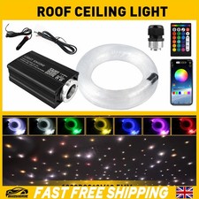 1000pcs Home Car Headliner