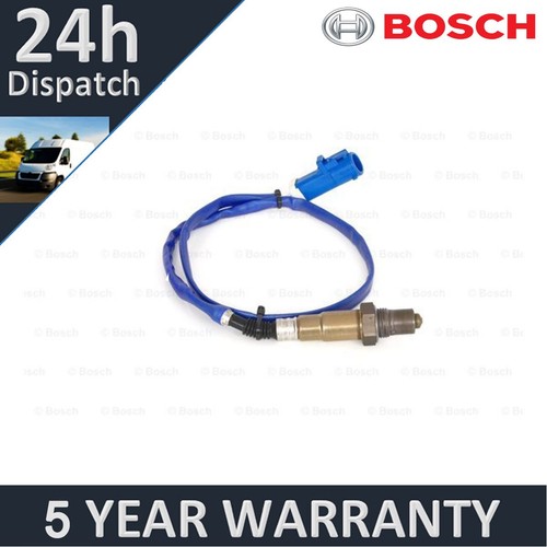 Fits ford focus - fits,