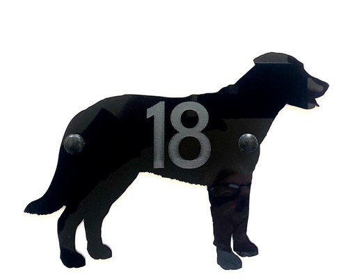 Beauceron berger beauce - berger, de
