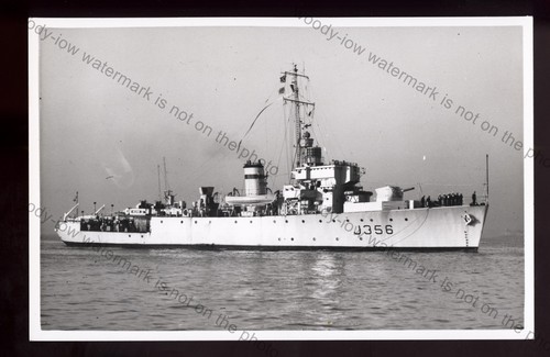 Wl8404 royal navy - royal,