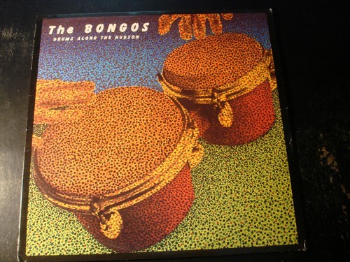 The bongos drums - drums,