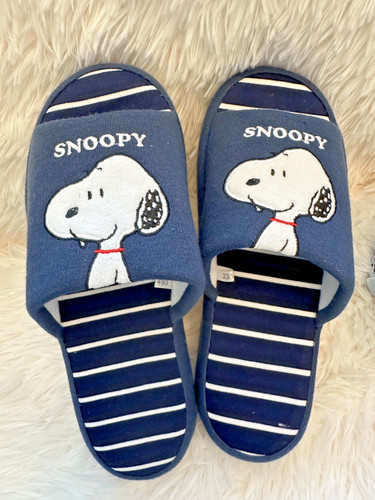 Peanuts snoopy house - peanuts,