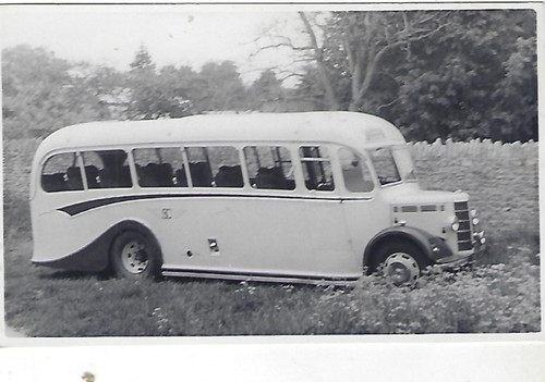 Bus photo dmo246 chandler - photo:,
