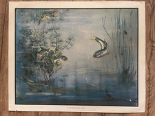 Eileen Soper Vintage School