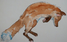 Fox watercolour painting of