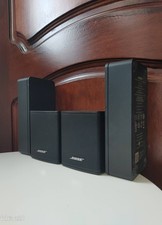 Bose Virtually Invisible 300