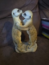 meerkat couple garden or home