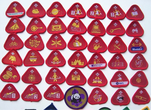 Cub scout proficiency badges - cub,