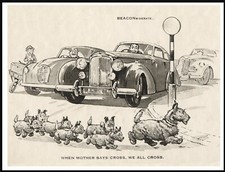 SCOTTISH TERRIER AND PUPPIES